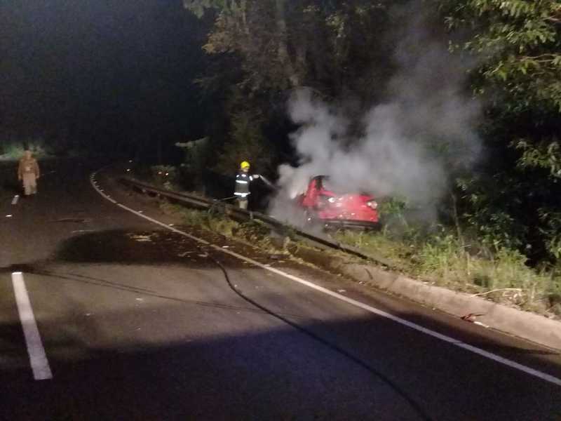 Veículo pega fogo após colidir em árvore em Novo Horizonte