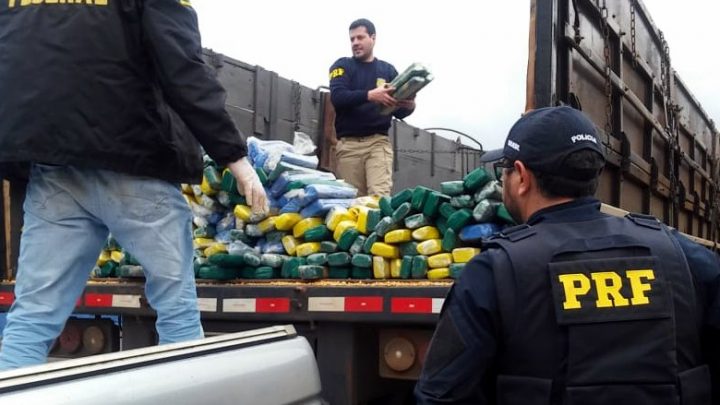 Ação conjunta PRF e PF apreende mais de 800 quilos de maconha escondida sob carga de milho no planalto catarinense – Vídeos