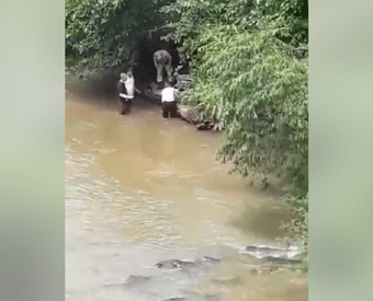 Mulher é resgatada com vida após de pular de ponte em Saudades