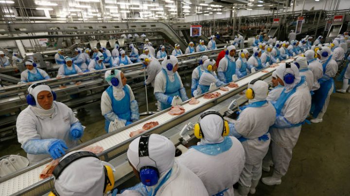 México vai importar carne de frango de mais 26 unidades do Brasil, incluindo JBS e BRF