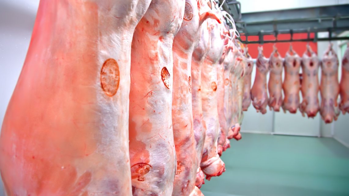 China se torna o maior mercado para carne suína catarinense