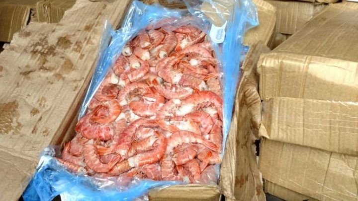 Caminhão com 1.700 quilos de camarões argentinos é apreendido no planalto catarinense