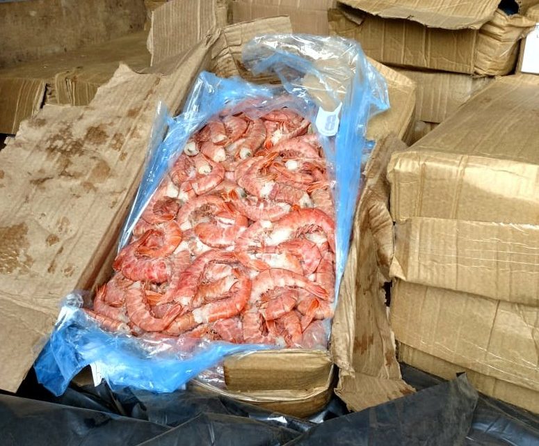 Caminhão com 1.700 quilos de camarões argentinos é apreendido no planalto catarinense