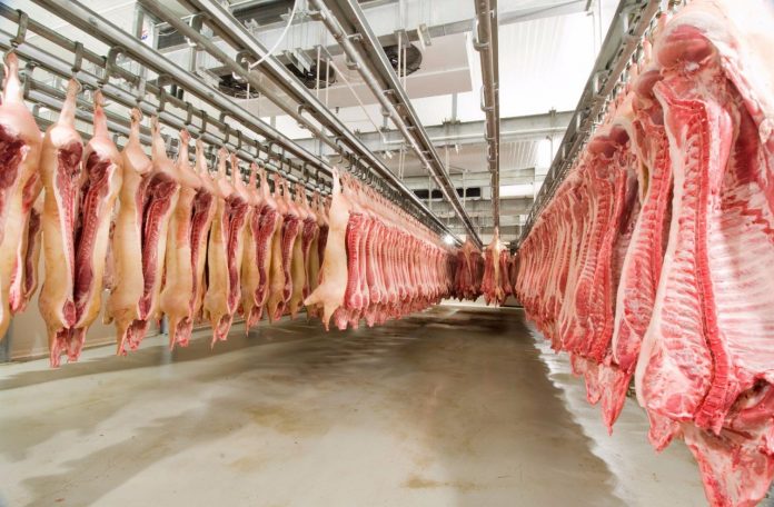Rússia reabre o mercado para carne suína do Brasil e SC comemora