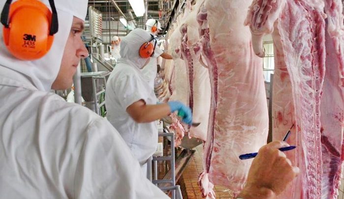 Santa Catarina responde por 56% de toda carne suína exportada pelo Brasil