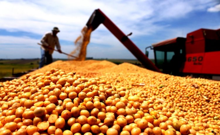 Santa Catarina tem exportação recorde de soja