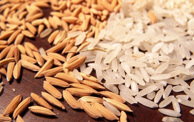 Santa Catarina fatura US$ 24 milhões com exportação de arroz em 2018