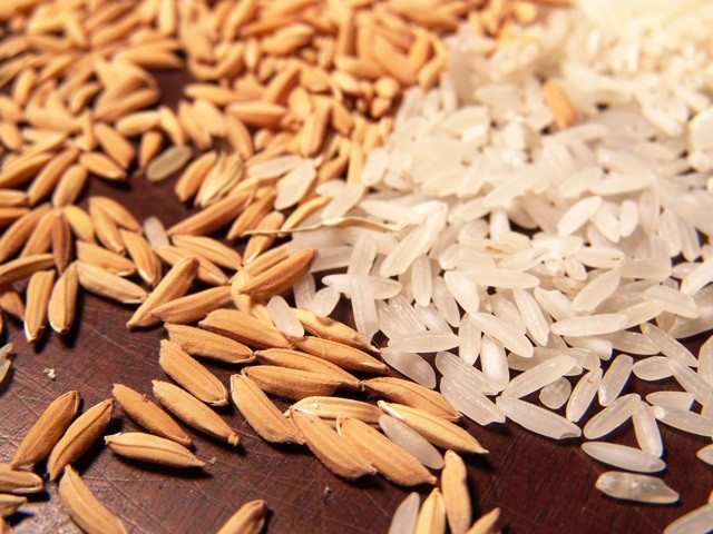 Santa Catarina fatura US$ 24 milhões com exportação de arroz em 2018