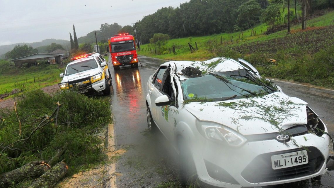 Veículo da Cidasc de Xaxim é atingido por árvore no interior da cidade