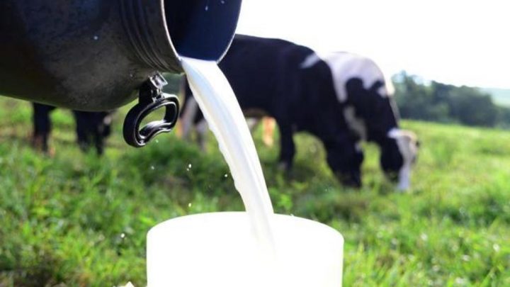 Região Sul produz mais leite que Argentina