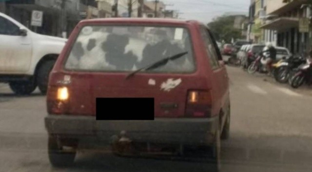 Veículo é flagrado transportando uma vaca no porta-malas