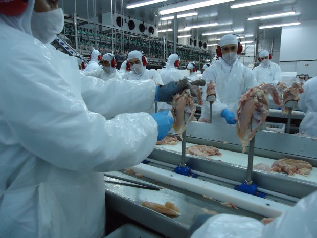 Santa Catarina mantém crescimento nas exportações de carnes em 2019