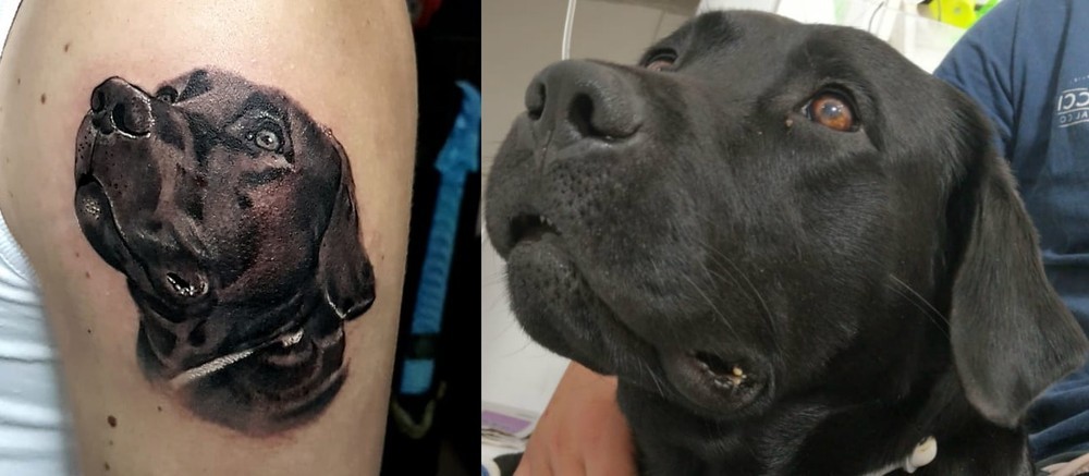 Soldado homenageia cão-bombeiro Barney com tatuagem: ‘Quando coração transborda, transparece na pele’