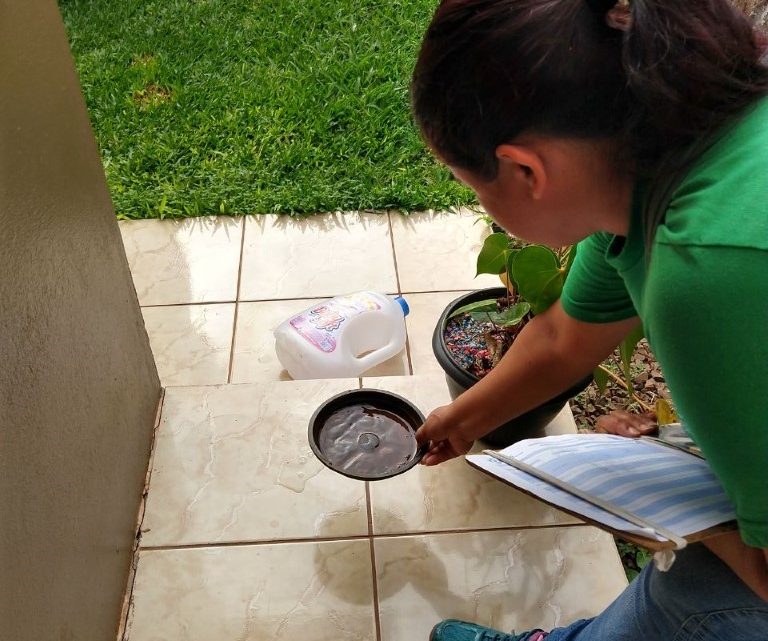 Chapecó registra 959 focos do mosquito Aedes aegypti