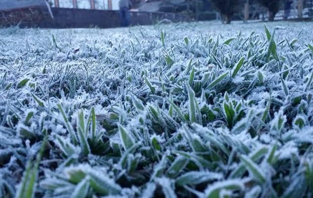 Madrugada pode ter geada e temperatura negativa em SC