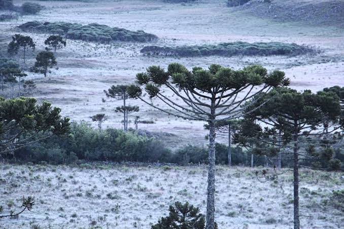 Frente fria favorece tempo instável com queda brusca da temperatura em SC