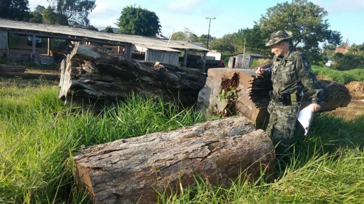 Polícia Militar Ambiental realiza “Operação Serra Fita II” de fiscalização em madeireiras no Oeste