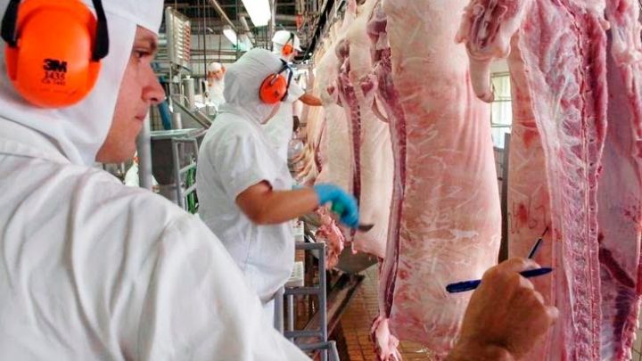 Santa Catarina tem alta de 51% nas exportações de carne suína em maio