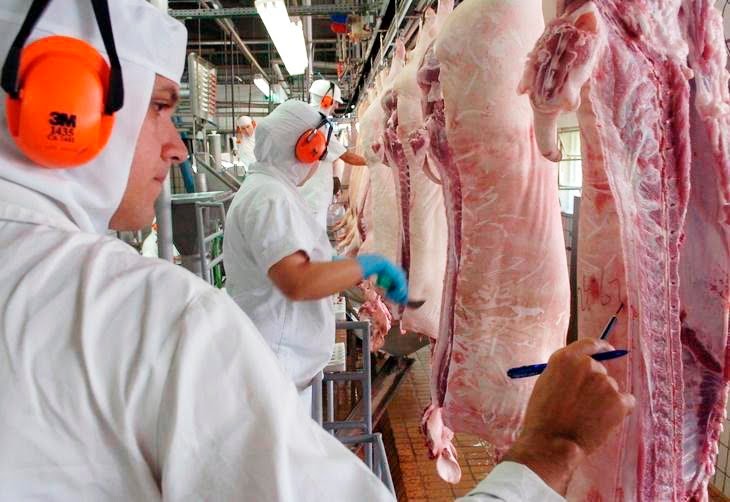 Santa Catarina tem alta de 51% nas exportações de carne suína em maio