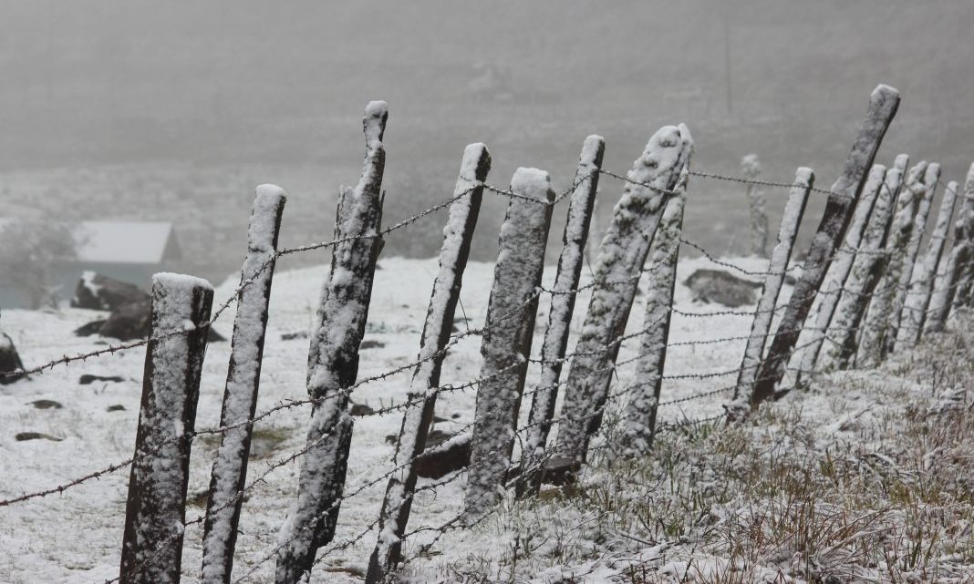 Frio vai voltar a Santa Catarina