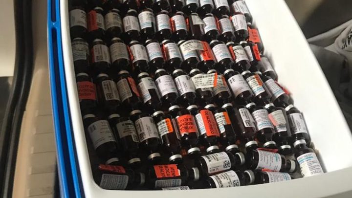Em parceria com polícia do EUA, PF faz operação em SC e SP contra o tráfico internacional de opioide