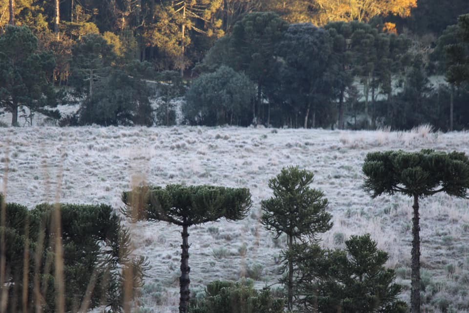 Frio perde força no decorrer da semana em SC