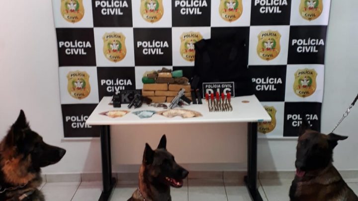 Operação na área rural de Chapecó prende foragido e apreende drogas e armas