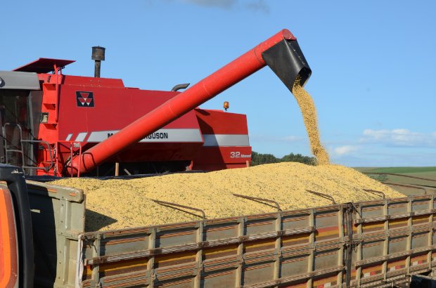 Safra de soja catarinense tem previsão de alta com colheita de 2,4 milhões de toneladas