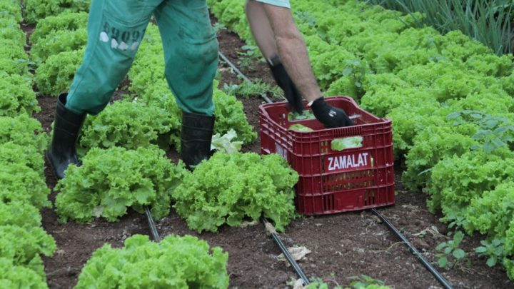 Penitenciária começa entrega de alimentos ao Município de Chapecó