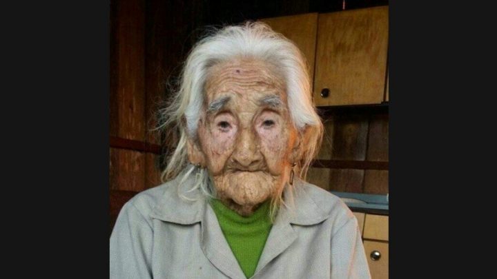 Idosa de 103 anos de idade busca reencontrar filho perdido em SC