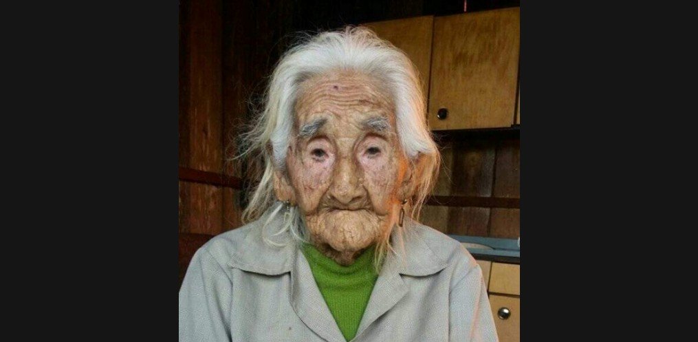 Idosa de 103 anos de idade busca reencontrar filho perdido em SC