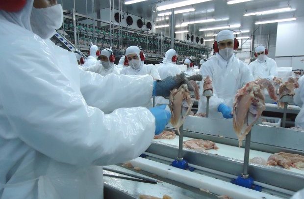 Governo catarinense reduz para 7% a alíquota de ICMS para carnes de aves e suínos