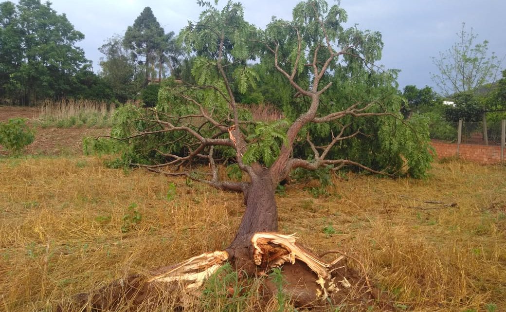 Vendaval atinge cidade de União do Oeste em SC