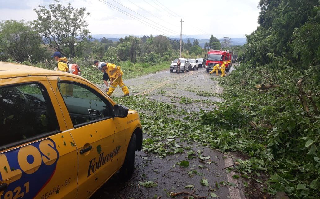 Árvores caem em cima de veículo na SC-283 em Seara