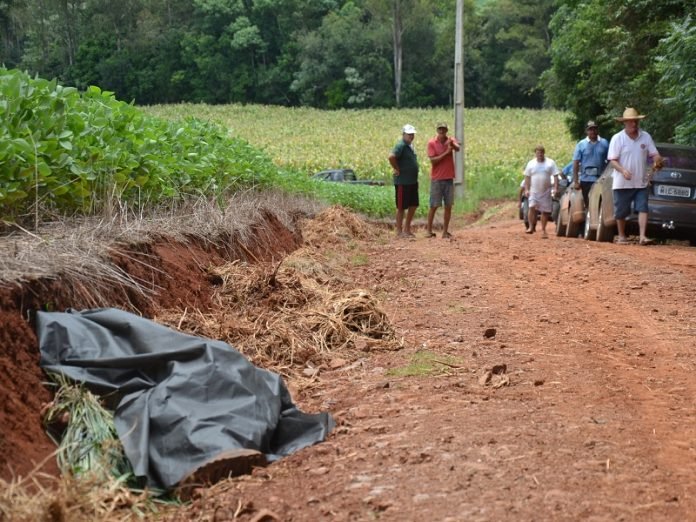 Agricultor morre após ser picado por enxame de abelhas no RS