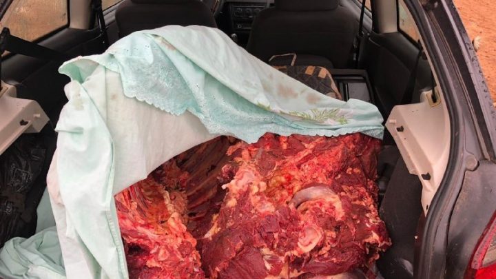 Dois homens são apreendidos por furto de carne no bairro Eldorado em Chapecó