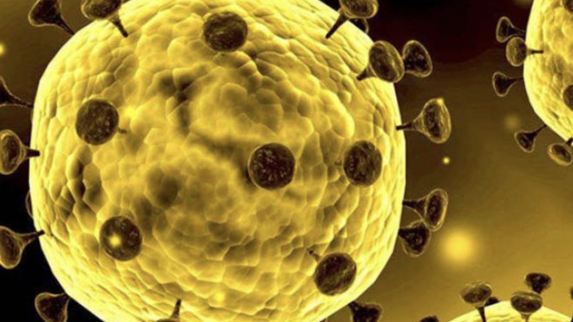 Ministério da Saúde confirma segundo caso de coronavírus no Brasil