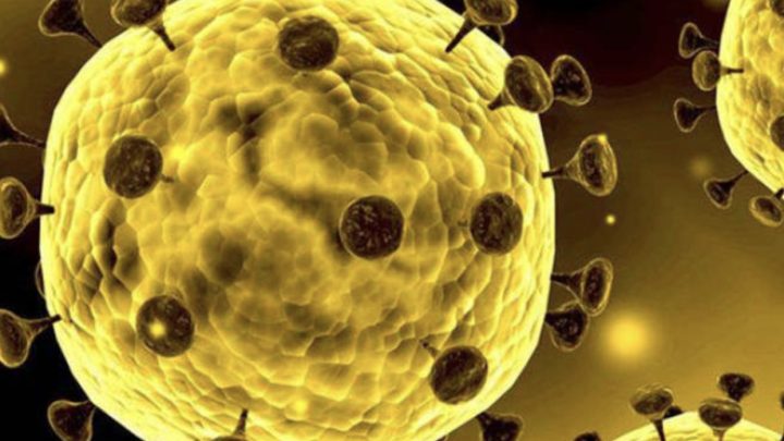 URGENTE: exames preliminares confirmam primeiro caso de Coronavírus no Brasil