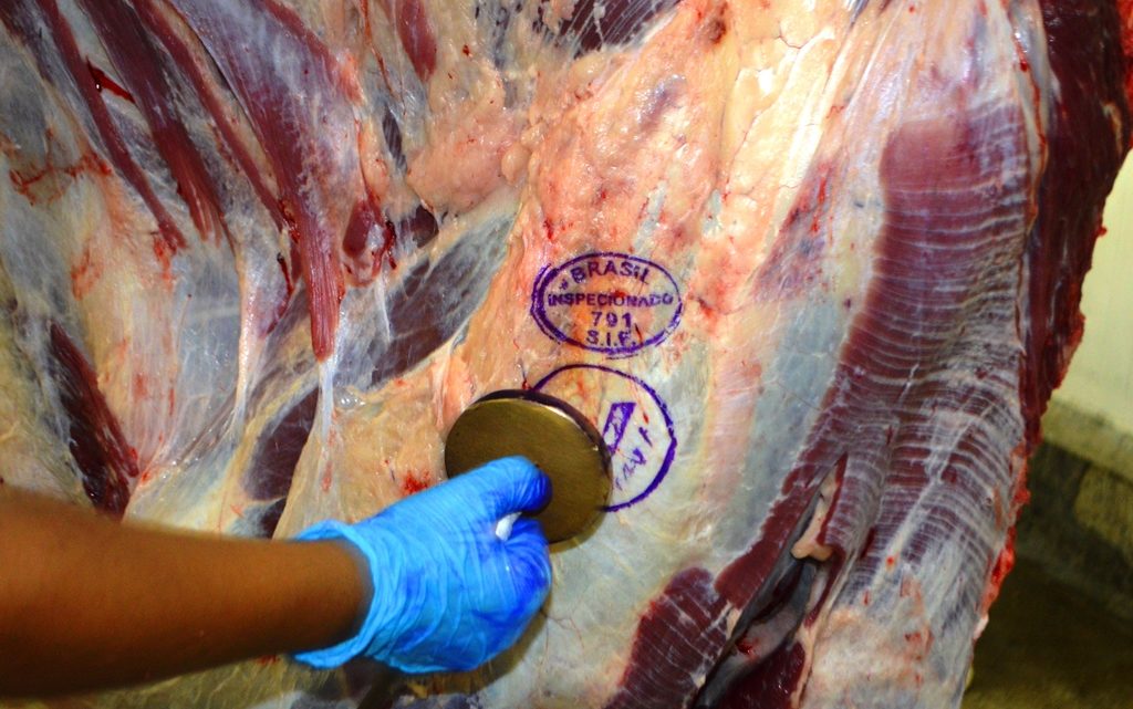 Preços do boi gordo e da carne voltam a subir nesta segunda