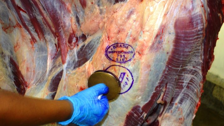Preços do boi gordo e da carne voltam a subir nesta segunda