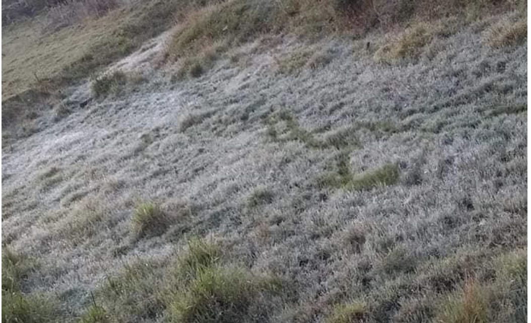 Santa Catarina registra geada no amanhecer deste sábado