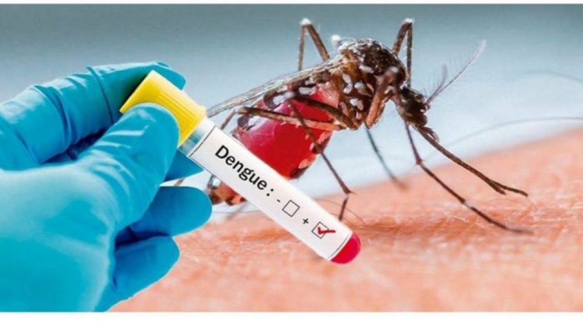 Dez casos confirmados de Dengue em Chapecó