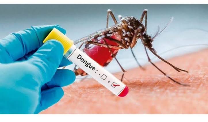 Chapecó contabiliza 22 casos confirmados de dengue