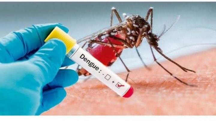 Chapecó confirma o terceiro caso de dengue