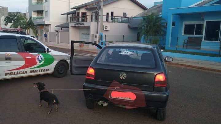Idoso é flagrado puxando cachorro amarrado no carro em Nova Erechim