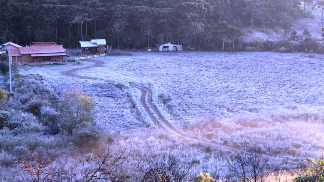 SC amanhece com geada e temperaturas negativas