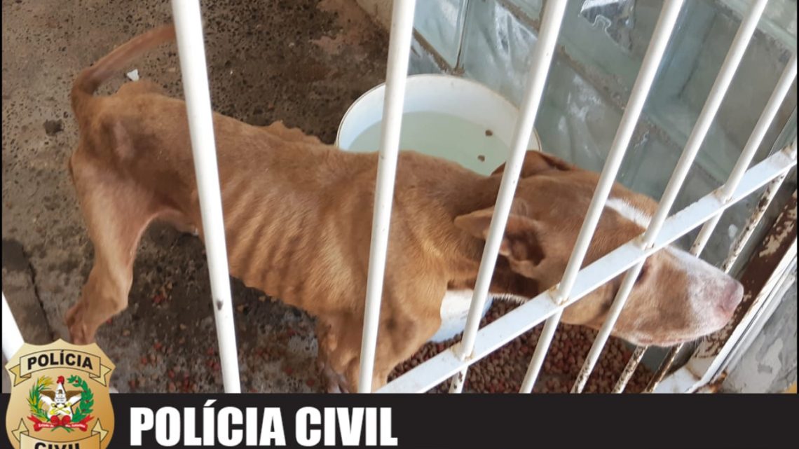 Homem é preso por maus-tratos a animais em Chapecó