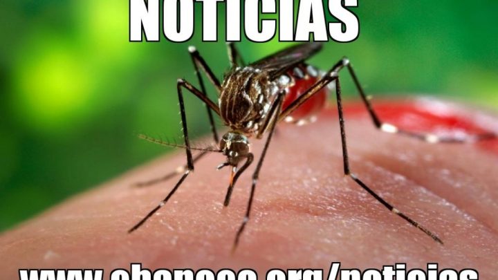 Chapecó contabiliza 34 casos confirmados de dengue