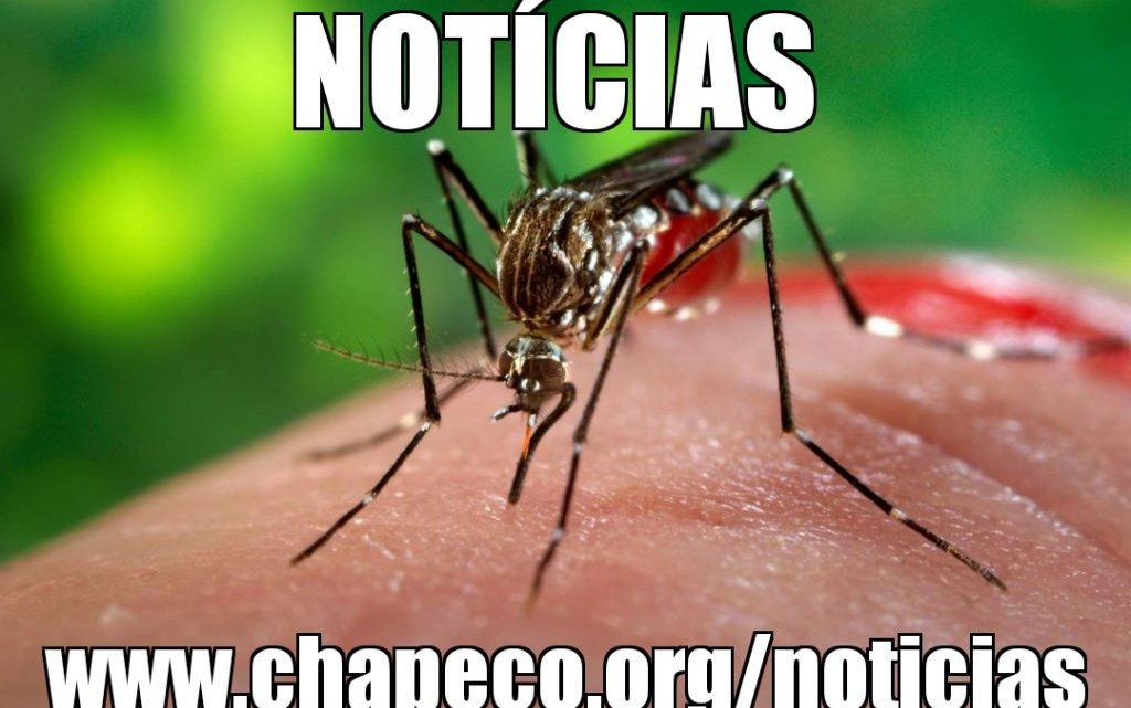 Chapecó contabiliza 34 casos confirmados de dengue