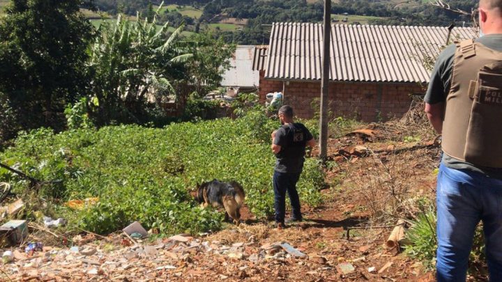 Polícia Civil cumpre mandados de busca e apreensão em repressão ao tráfico de drogas no oeste